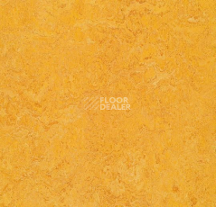 Линолеум Forbo Marmoleum Decibel on Order 322535 dandelion фото 1 | FLOORDEALER